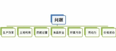 工厂化蔬菜 解决中国蔬菜产业问题的良药与企业管理挑战