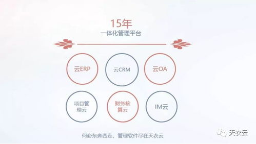 天衣CRM客户管理系统 赋能餐饮加盟企业，铸就品牌发展新引擎