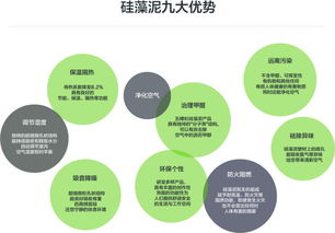 硅藻泥加盟代理全攻略 选择五棵松品牌的优势与实施策略